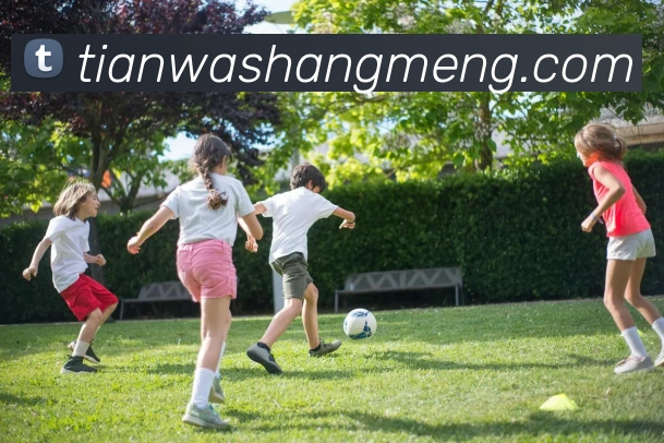 多媒体互动体验