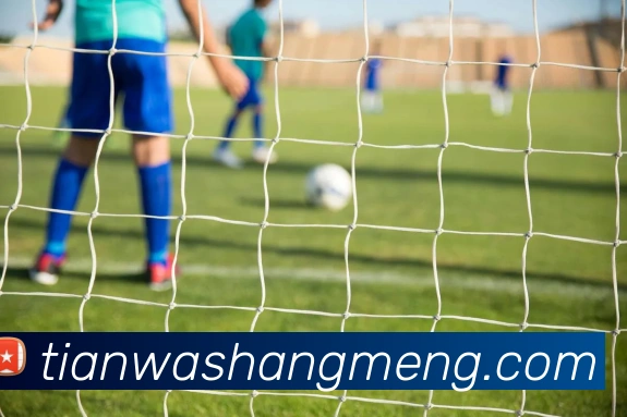 世界杯官网中文版APP 高清赛事图